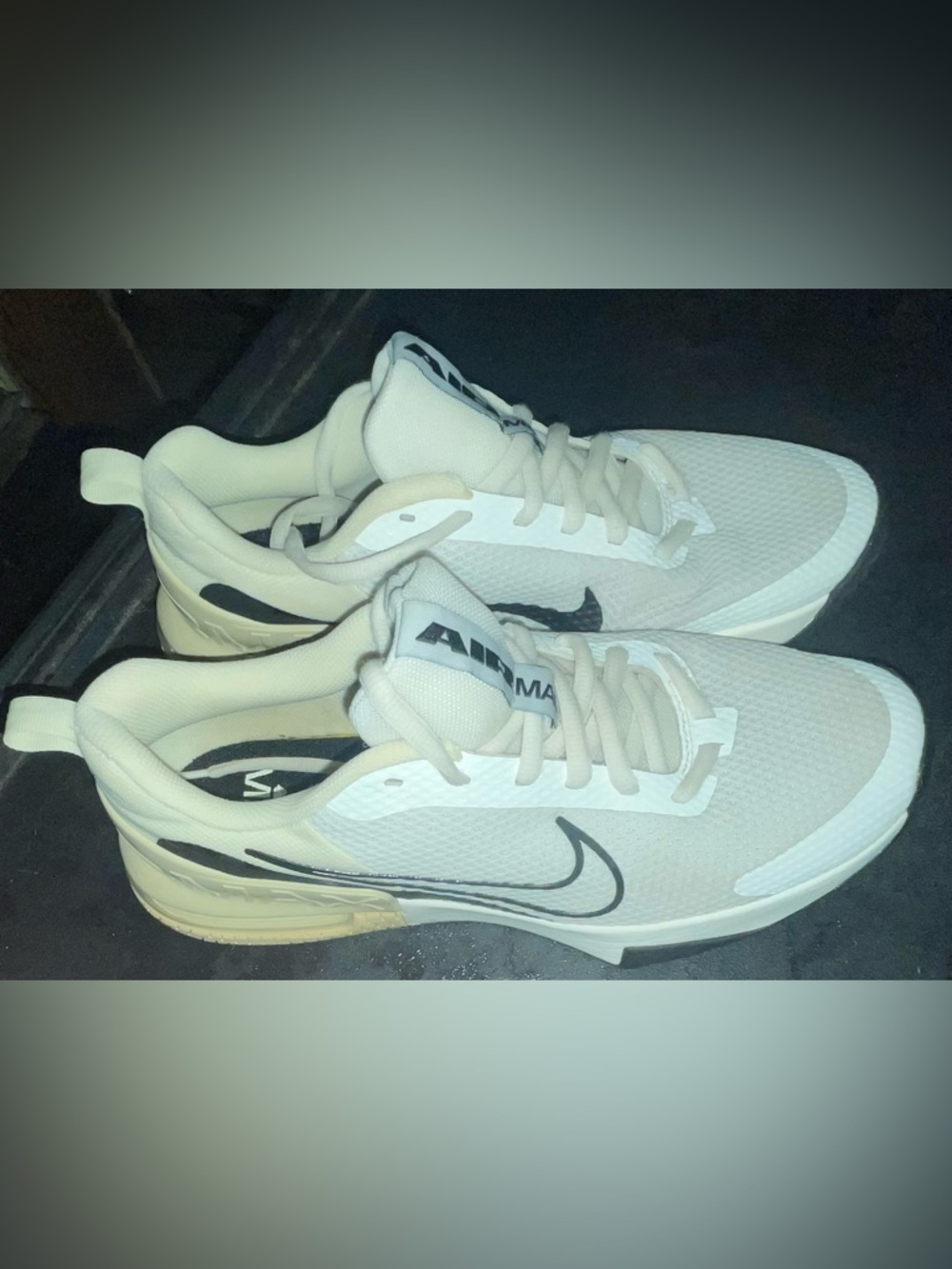 Nike Air Max Alpha Trainer 5 Men's Training Shoes (worn twice!) size 11